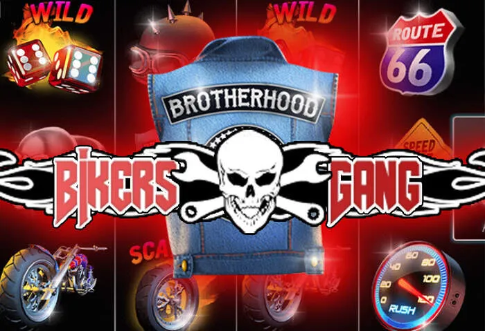 Discover all Roobet casino website games for every type of player