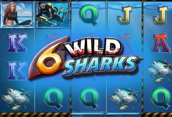 Roobetcasino website games: explore our full collection